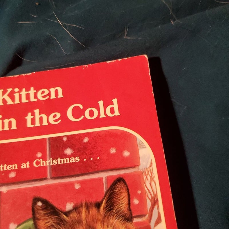 Kitten in the Cold