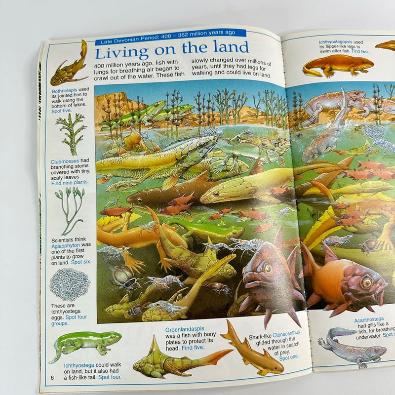 Usborne The Great Dinosaur Search