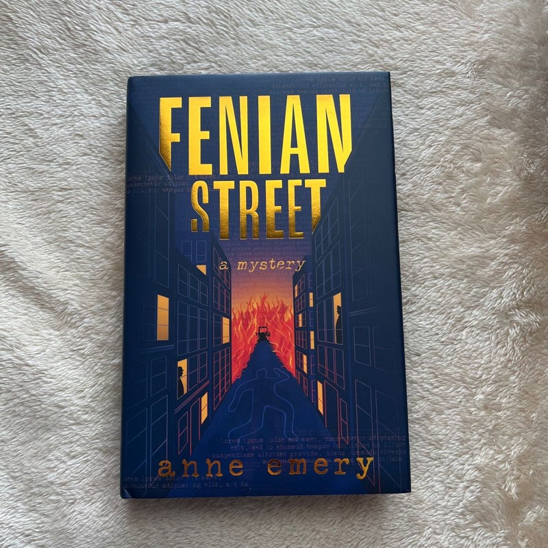 Fenian Street