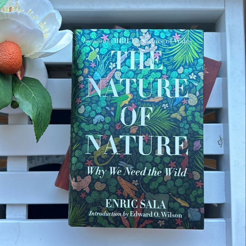 The Nature of Nature