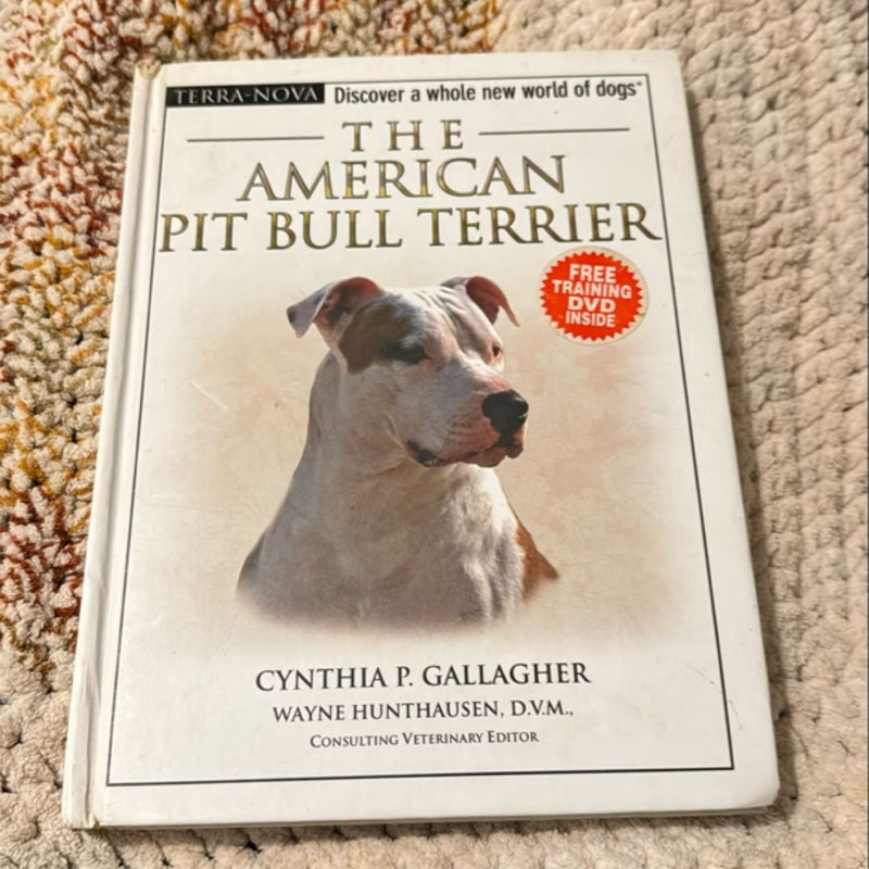 The American Pit Bull Terrier