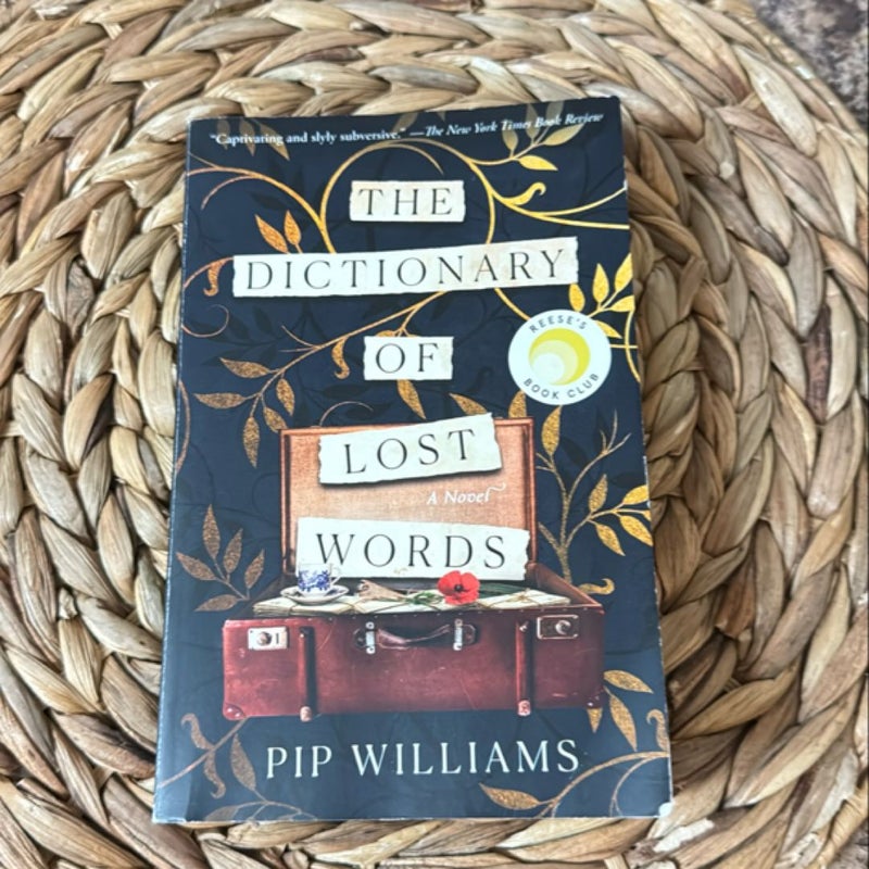 The Dictionary of Lost Words