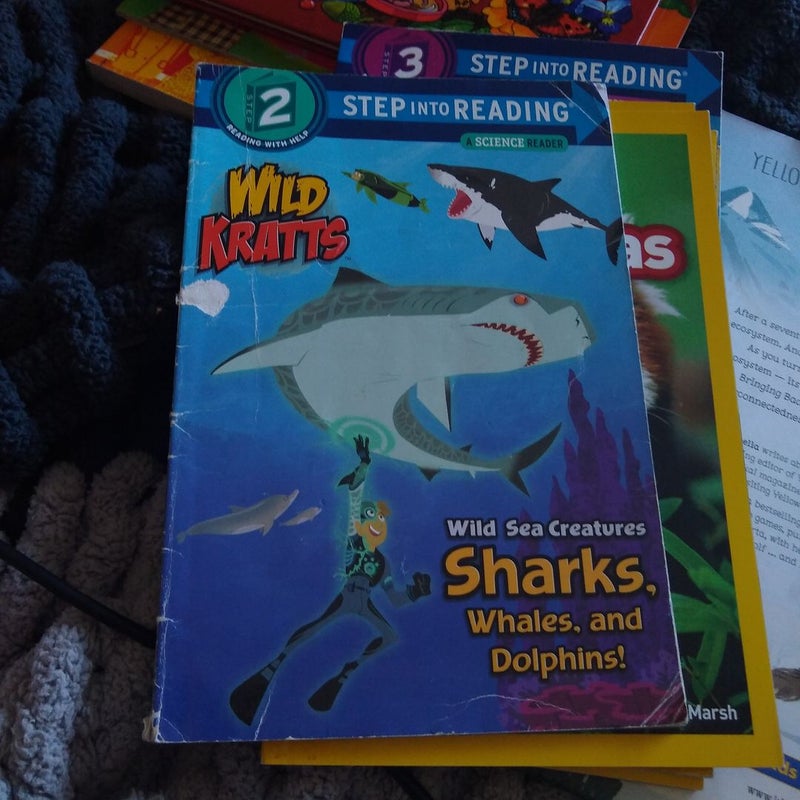 Wild Sea Creatures: Sharks, Whales and Dolphins! (Wild Kratts)