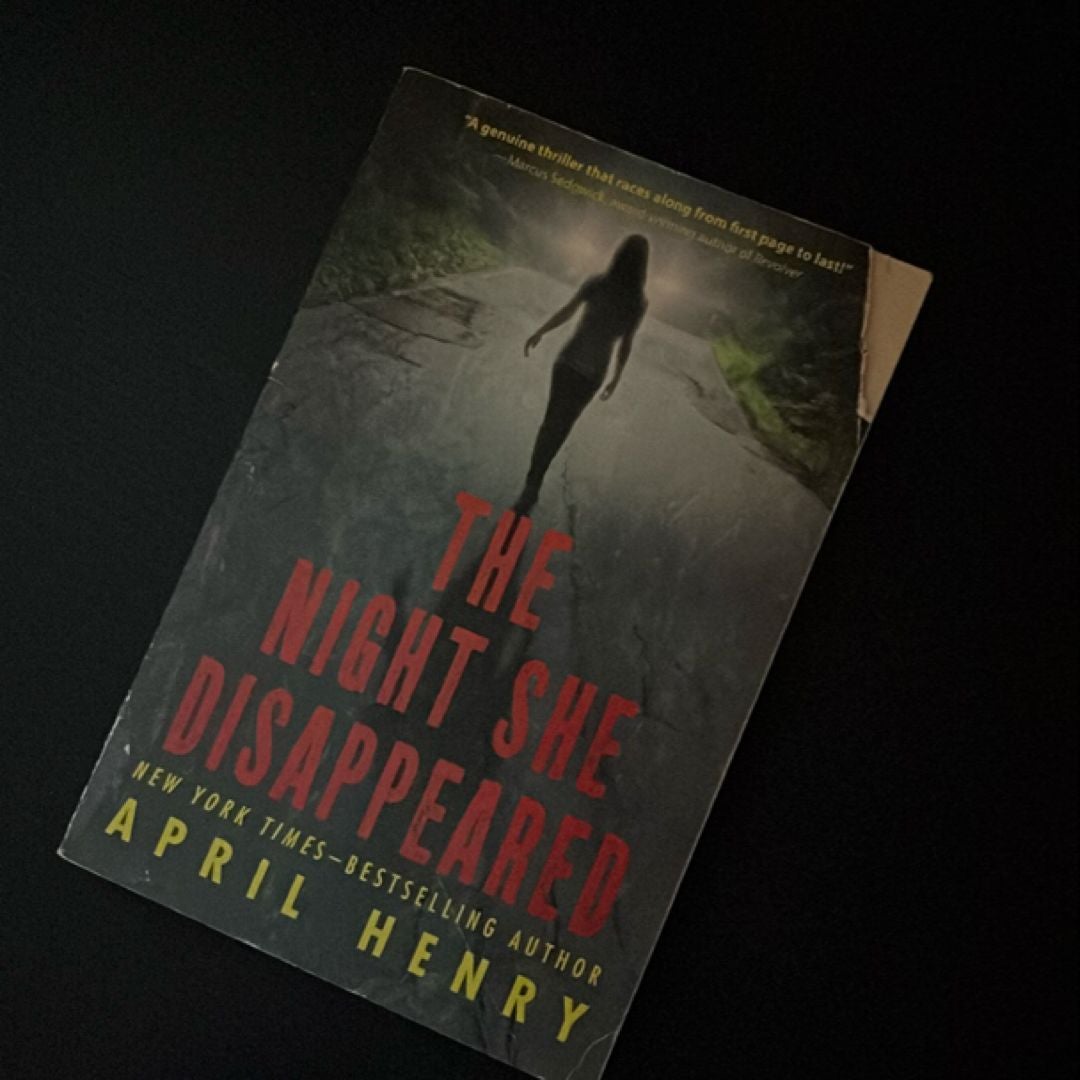 The Night She Disappeared