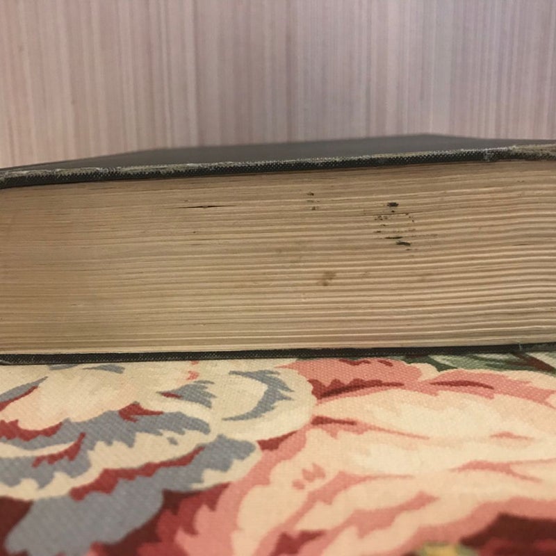 New American Standard Bible 1971
