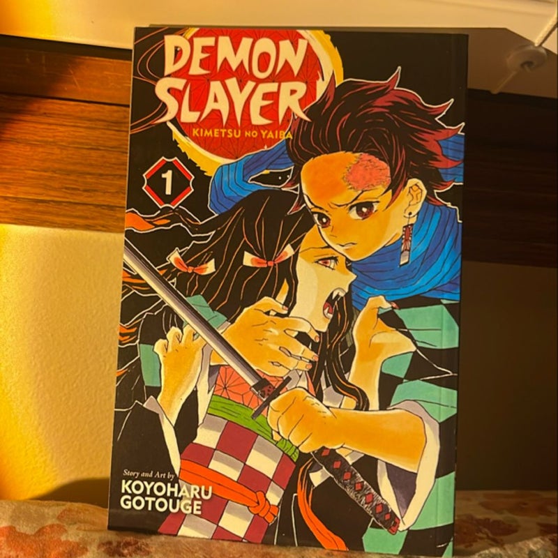 Demon Slayer: Kimetsu No Yaiba, Vol. 1