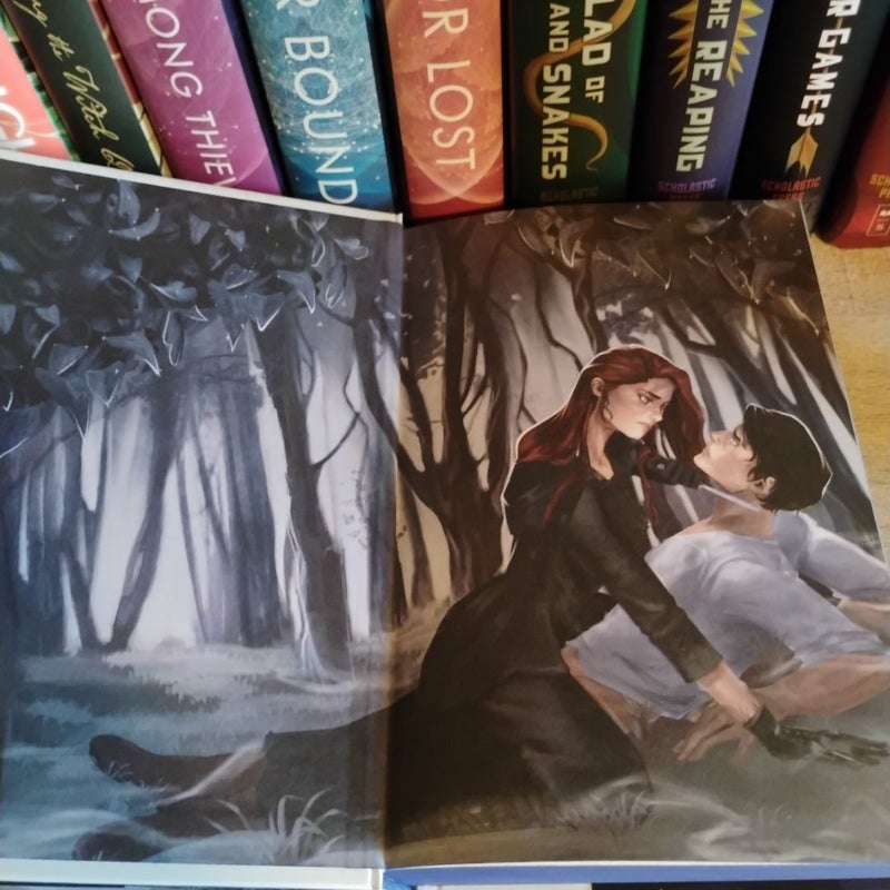 To Kill a Shadow (OwlCrate)