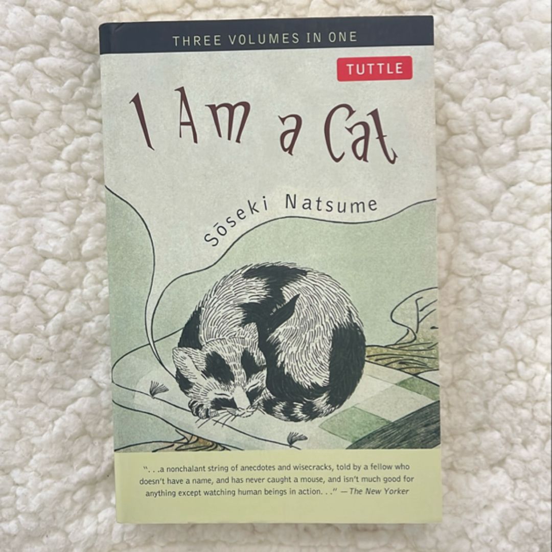 Sale image for 8be4107f-671d-4508-a0a6-41304751b41c-KseYx0NIzMNgb9Xv6Dd61F3JWej1