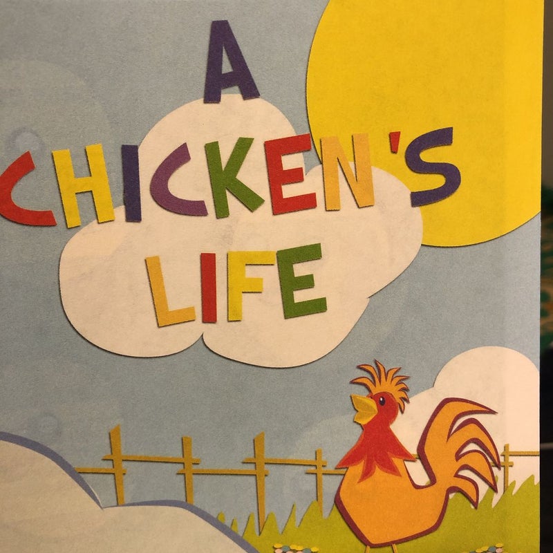 A Chicken’s Life