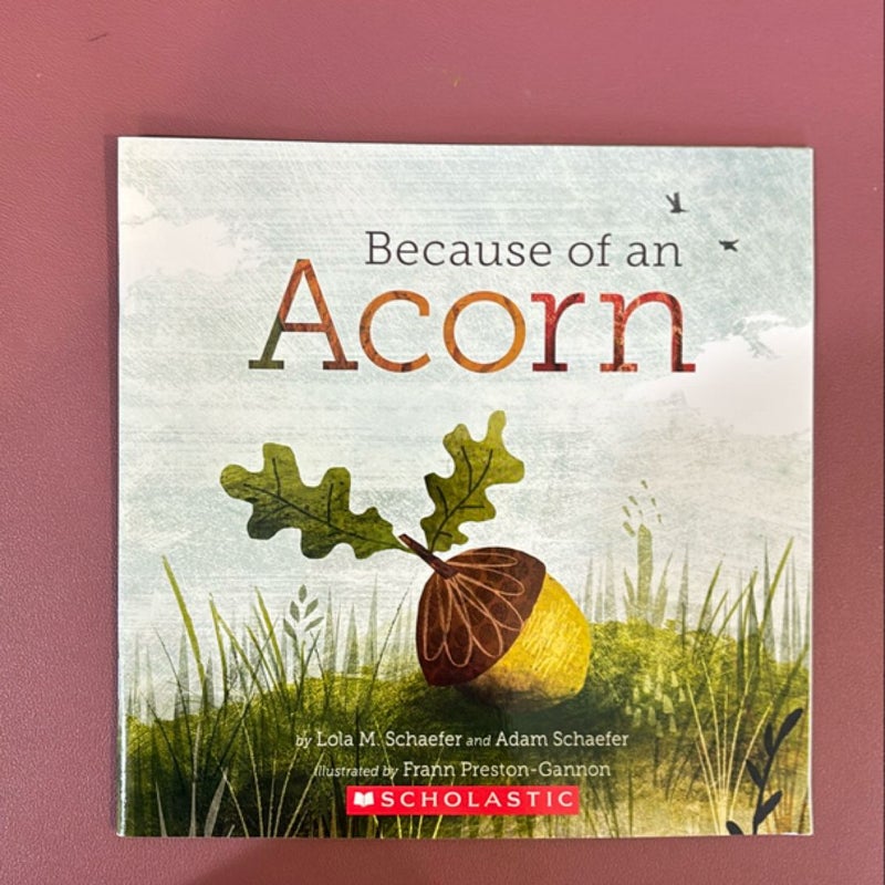 Because of an Acorn