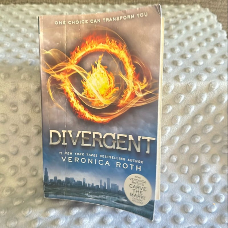 Divergent Series