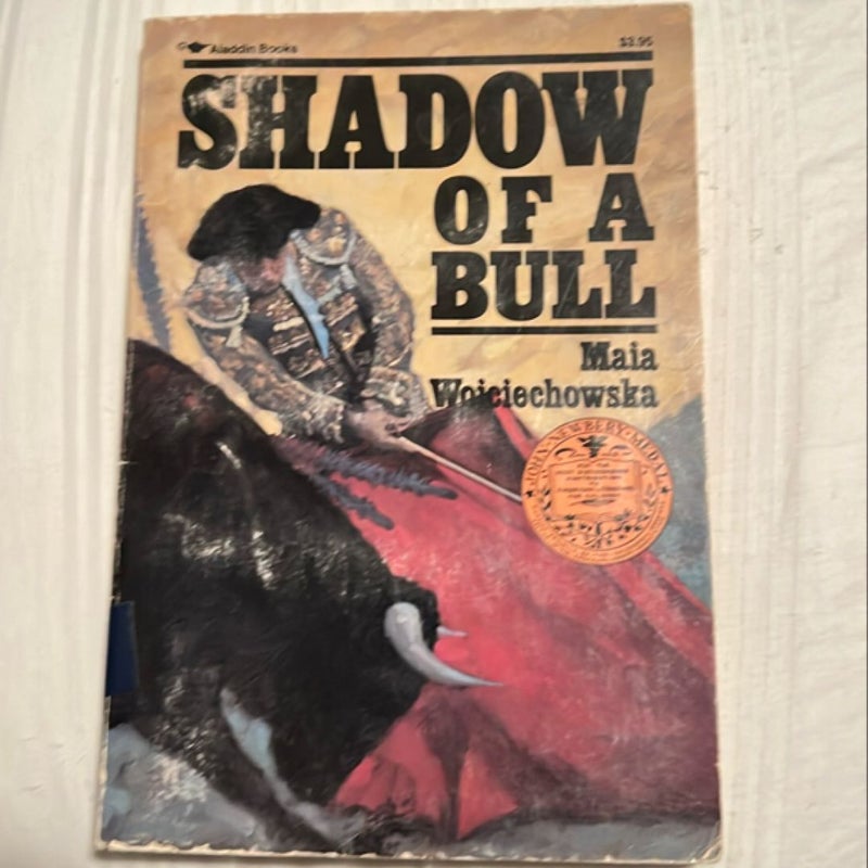 Shadow of a Bull