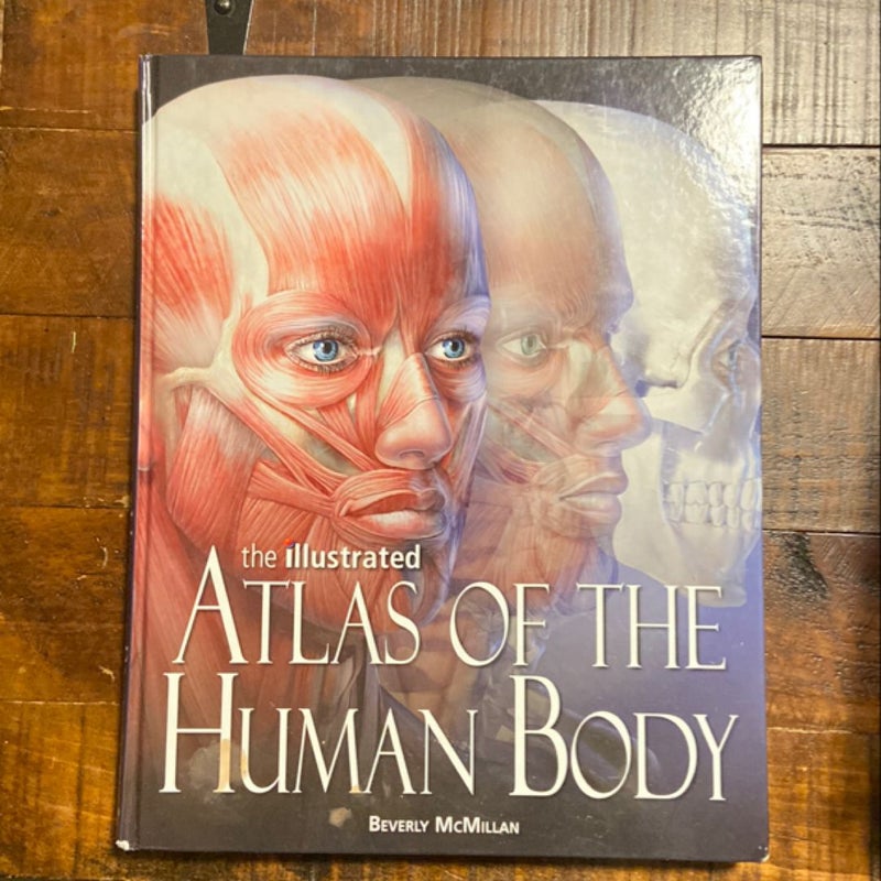 The Illustrated Atlas of the Human Body