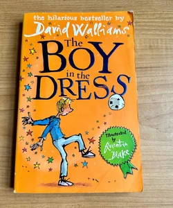 The Boy in the Dress