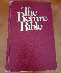 The Picture Bible