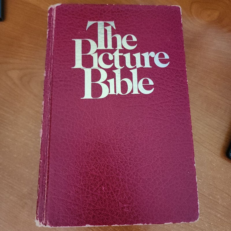 The Picture Bible