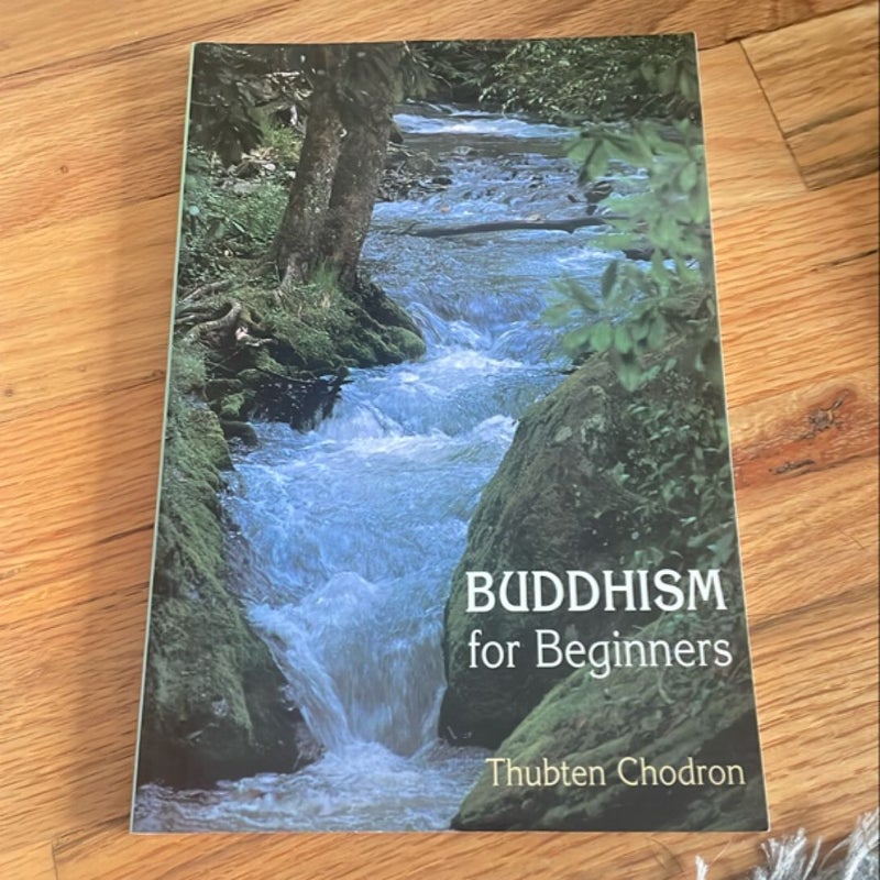 Buddhism for Beginners