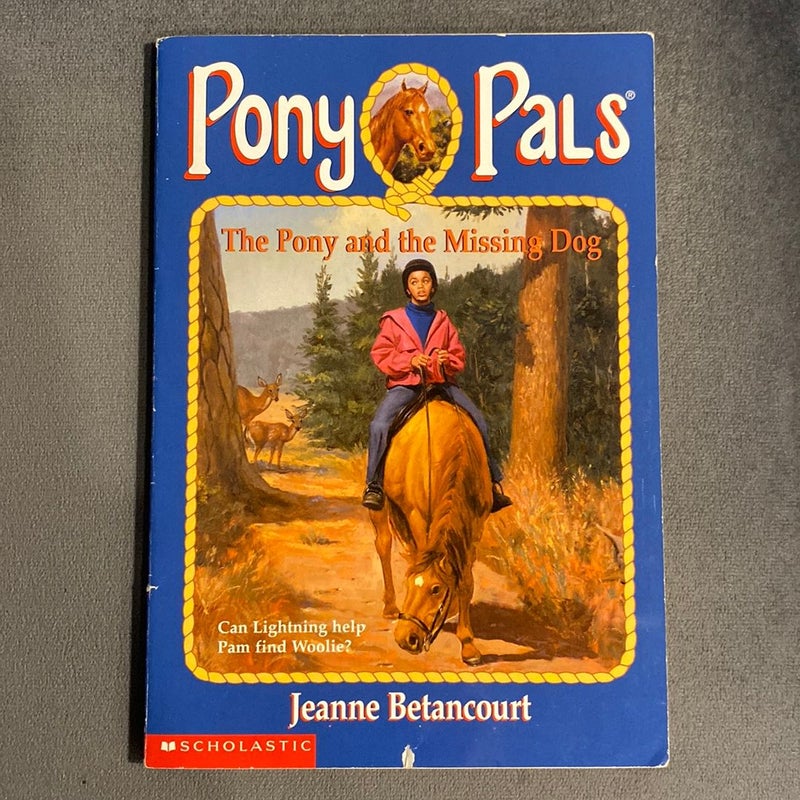 The Pony and the Missing Dog