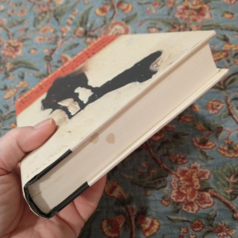 The Last Report on the Miracles at Little No Horse