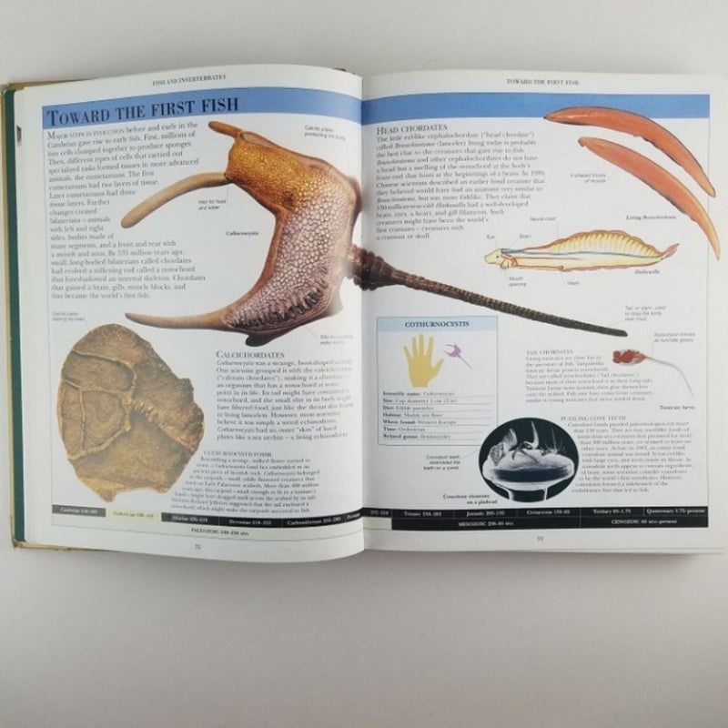 Dinosaur Encyclopedia DK