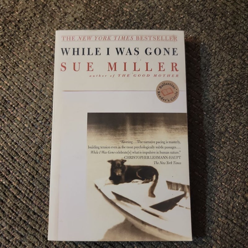 While I Was Gone