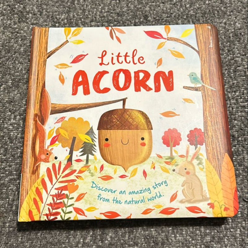 Little Acorn