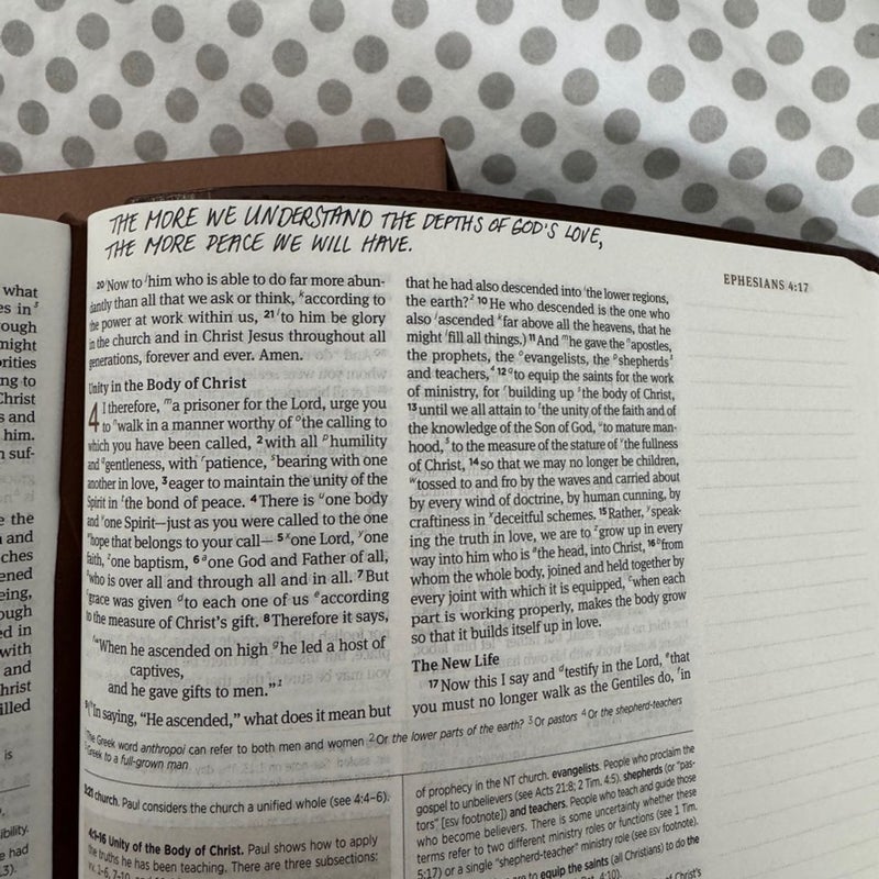 ESV Journaling Study Bible (TruTone, Brown/Chestnut, Timeless Design)