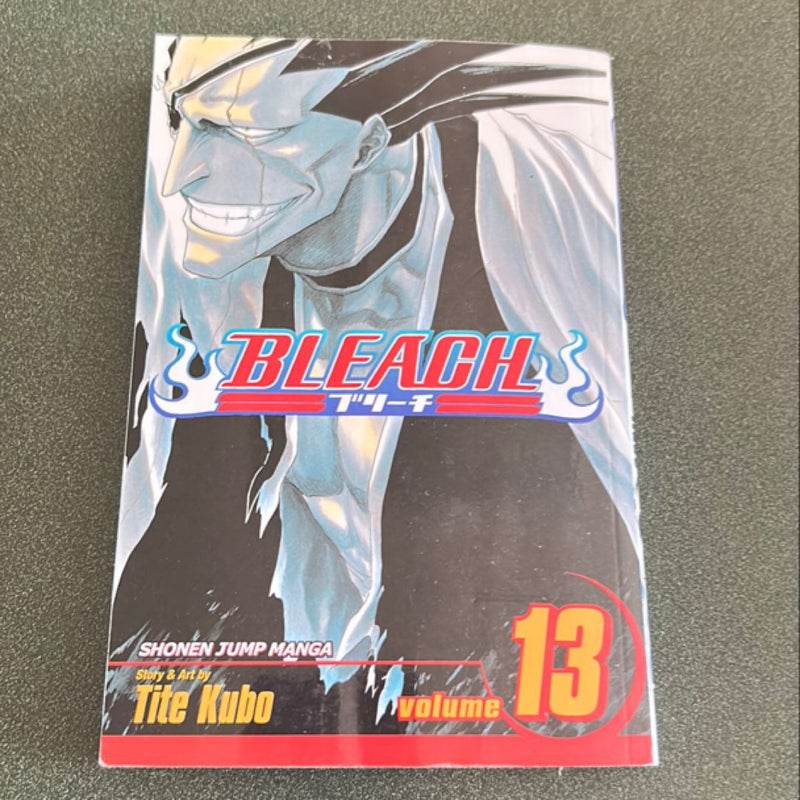 Bleach, Vol. 13