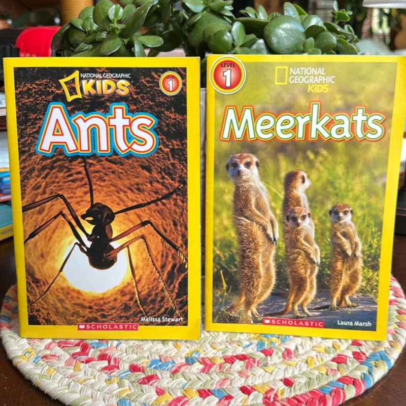 Leveled Readers Bundle of 24