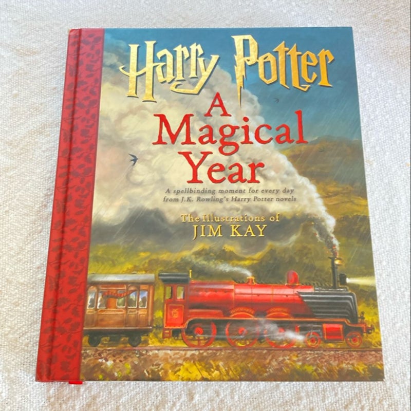 Harry Potter - A Magical Year