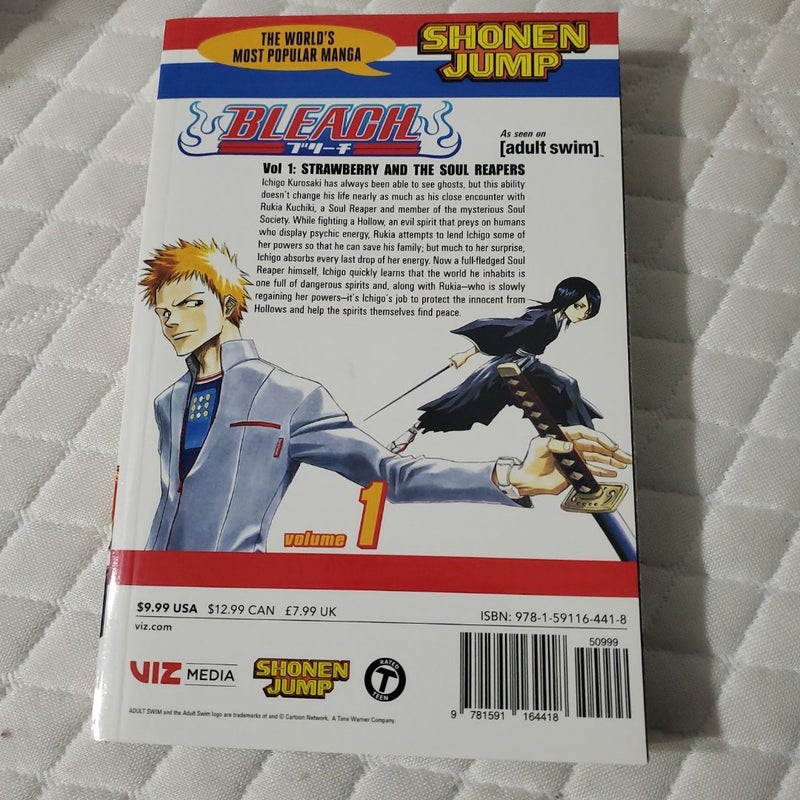 Bleach, Vol. 1