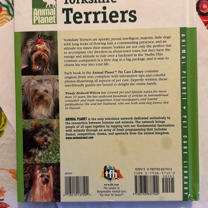 Yorkshire Terriers