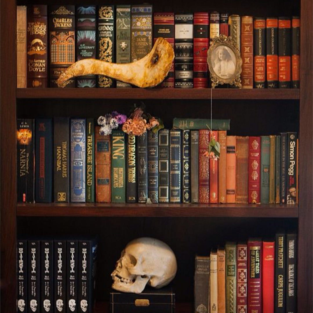Dreadful Reader 🖤