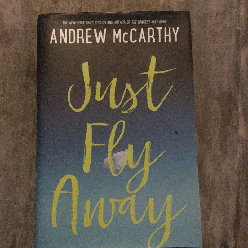 Just Fly Away