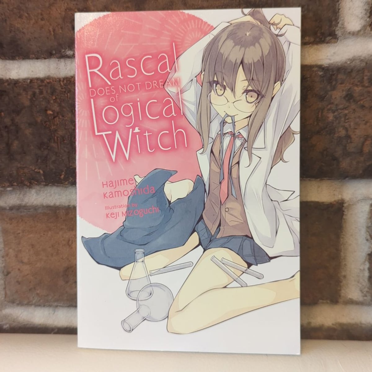 Rascal Does Not Dream of Logical Witch (light Novel)