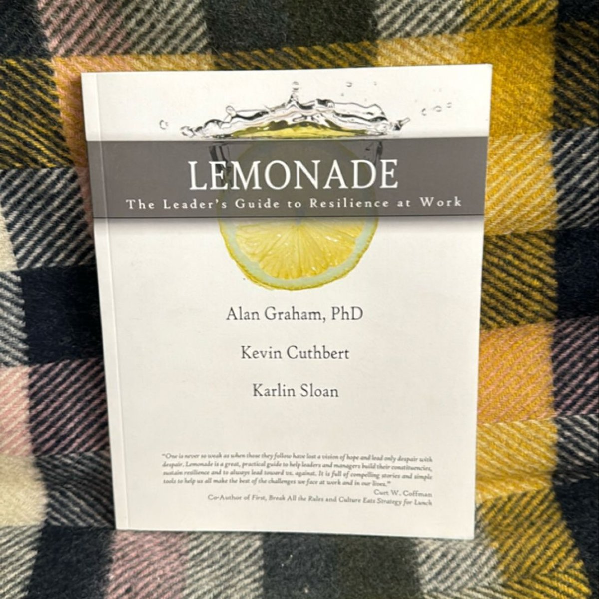 Lemonade the Leader's Guide to Resilience at Work by Alan Graham, Kevin ...