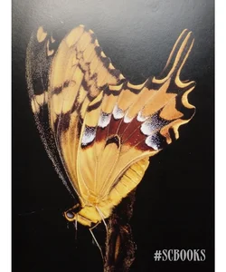 Yellow Schaus Swallowtail Butterfly Endangered Animal Book Art for Framing Gifting to Collect