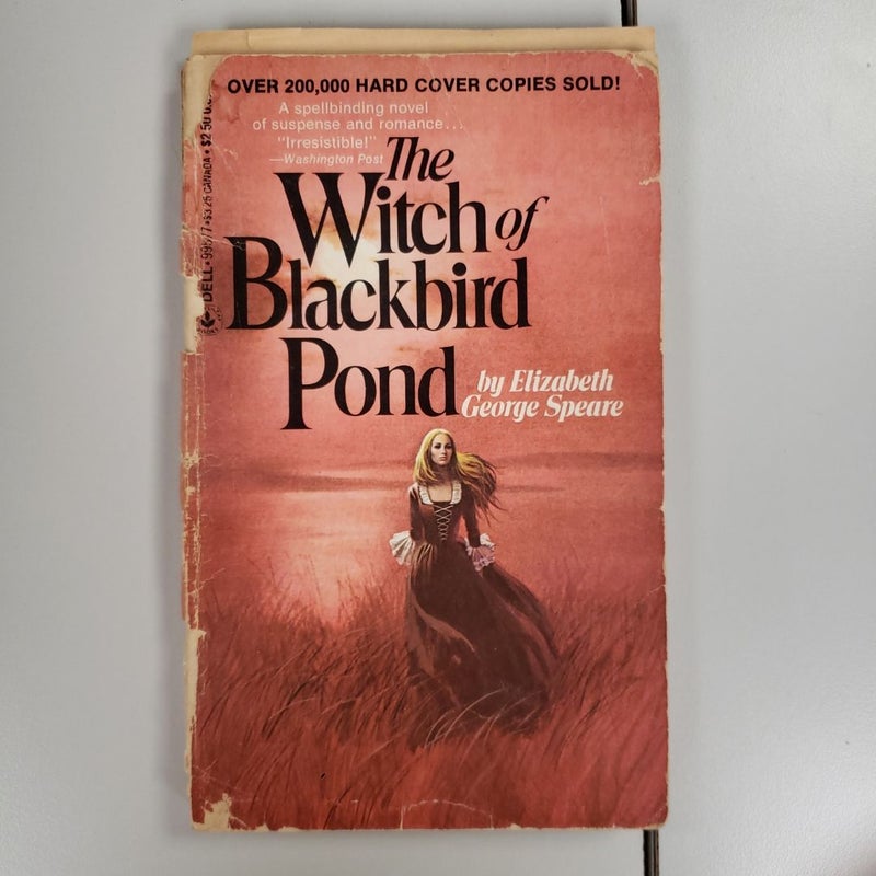 The Witch of Blackbird Pond