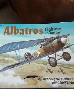 Albatros Fighters in Action