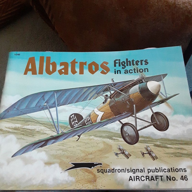 Albatros Fighters in Action