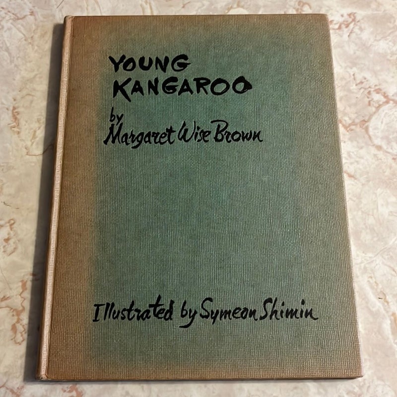 Young Kangaroo 