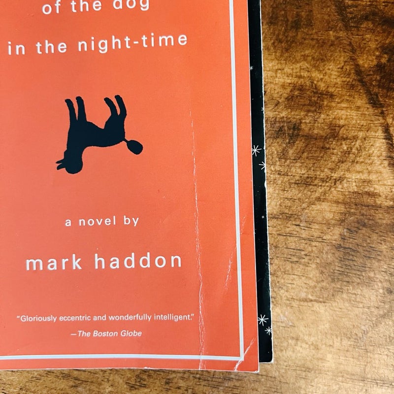 The Curious Incident of the Dog in the Night-Time