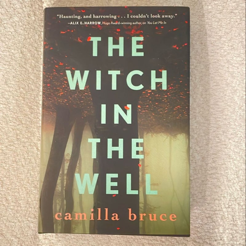 The Witch in the Well