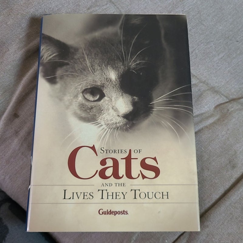 Stories of Cats and the Lives They Touch