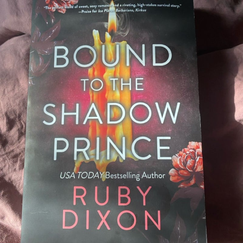Bound to the Shadow Prince