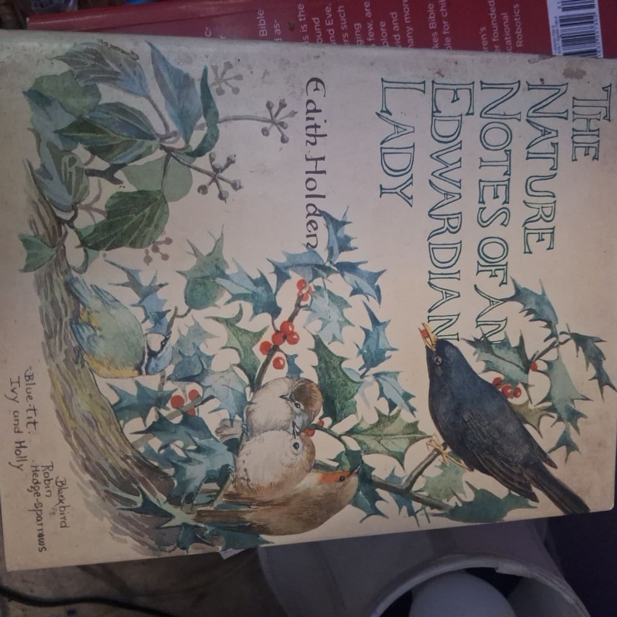 Nature Notes of an Edwardian Lady by Edith Holden