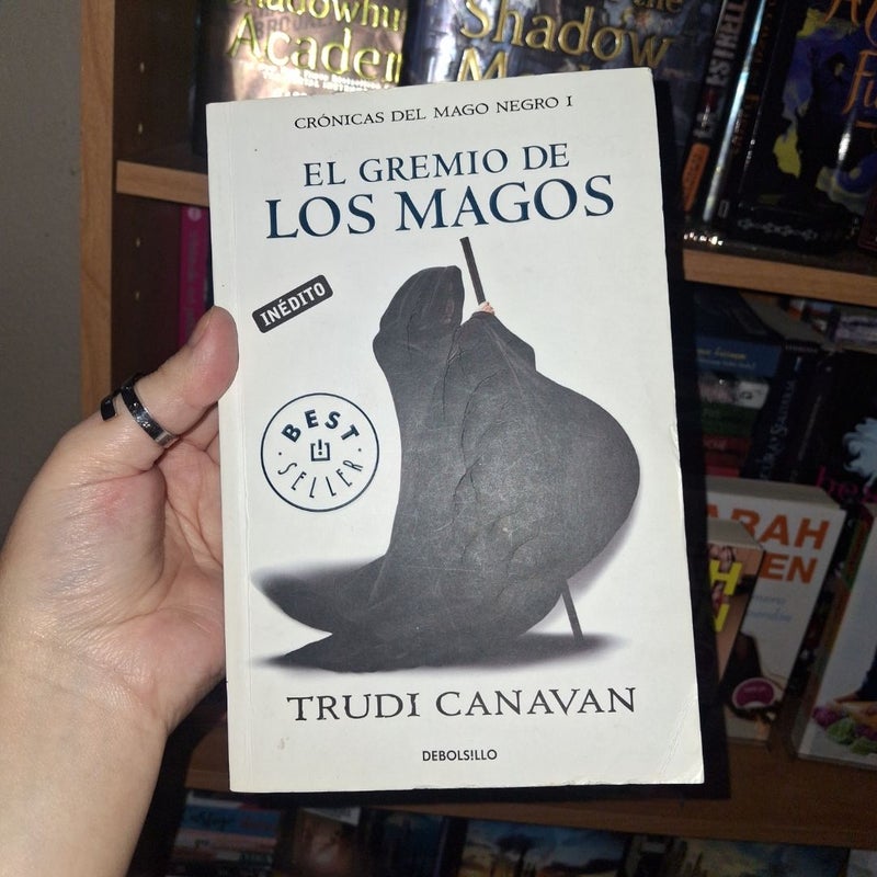 El gremio de los magos