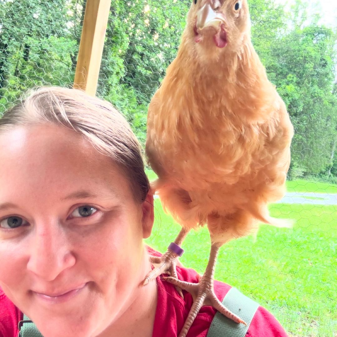 Just a Cat and a Book By Her Side