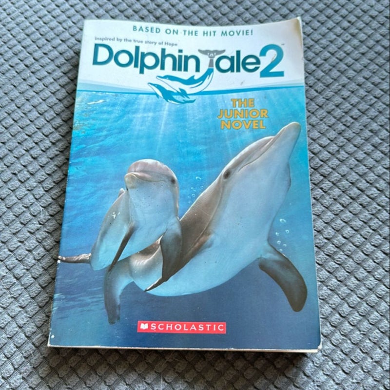 Dolphin Tale 2