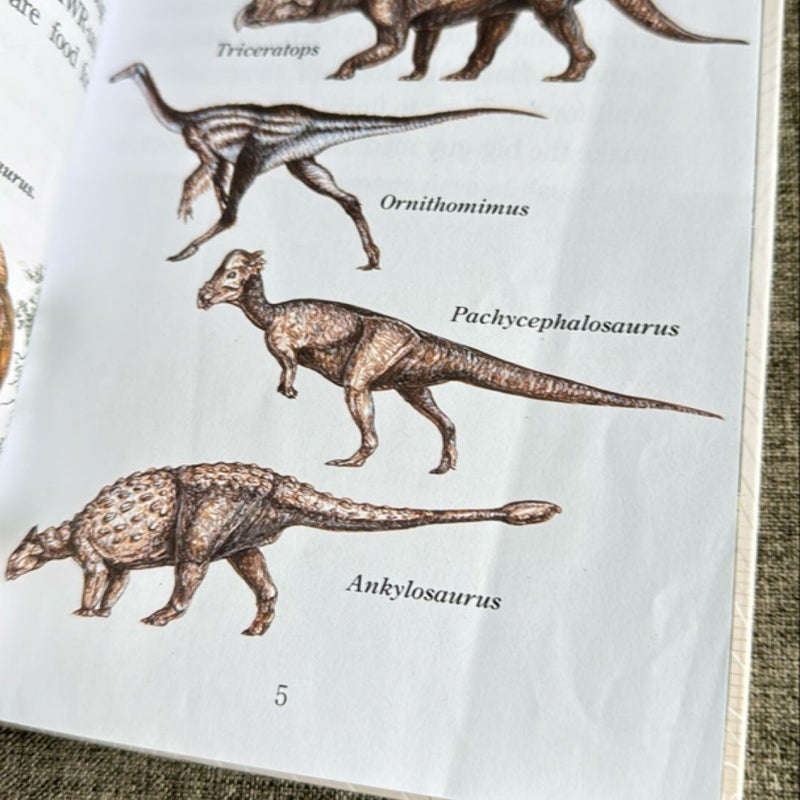 Dinosaurs Let Loose!
